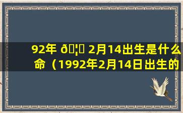 92年 🦟 2月14出生是什么命（1992年2月14日出生的人命 🦍 运）